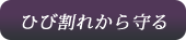 ひび割れから守る